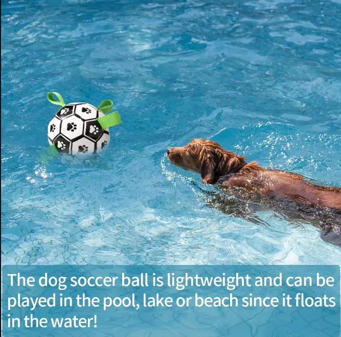 Pup Play Soccer Toy